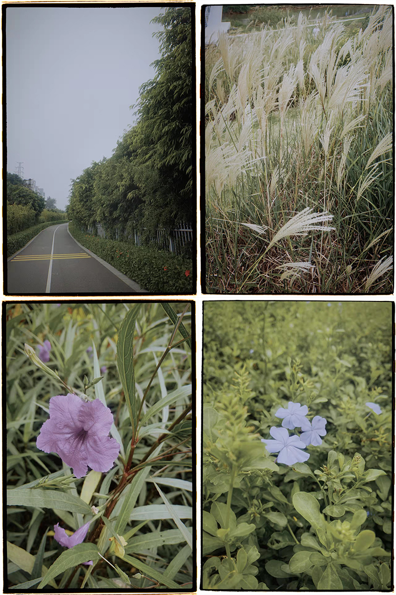 电解HJ04DC海角论坛厂家